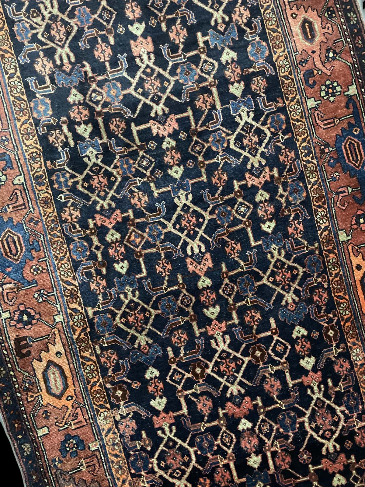 Persian rug of Borujerd style in dimensions 244 centimeters length by 130 centimeters width with mainly blue and brown colors — Perspective