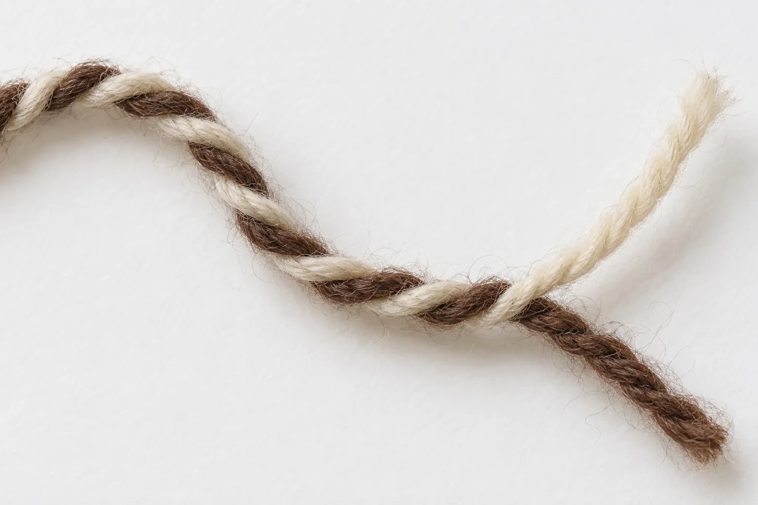 Cream and brown wool singles twisted together, separating at one end to show the two plies.