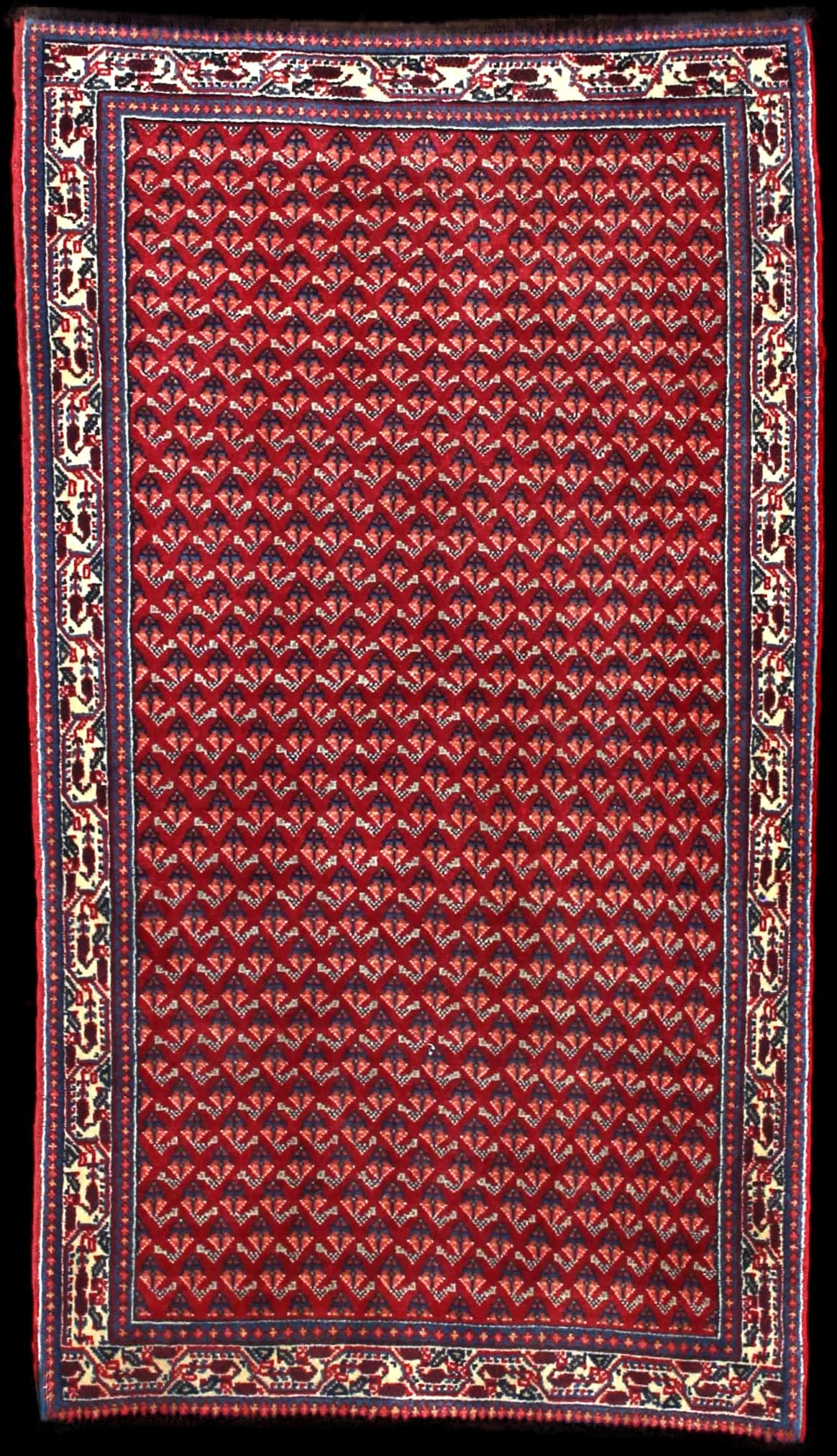 Persian rug of Arak style in dimensions 115 centimeters length by 67 centimeters width with mainly red and blue colors