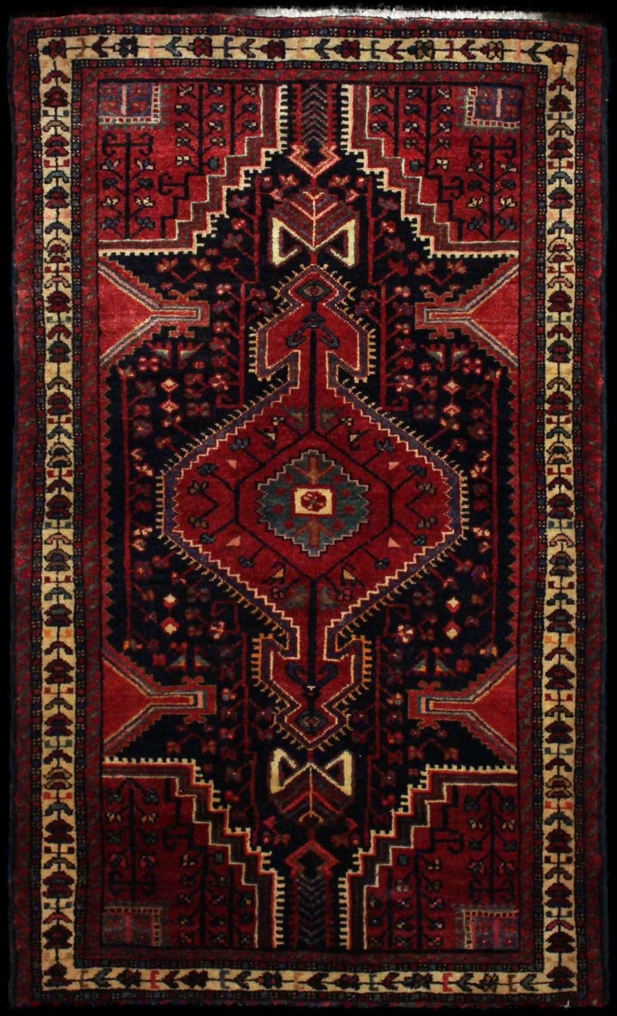 Persian rug of Hamadan style in dimensions 170 centimeters length by 103 centimeters width with mainly red and blue colors