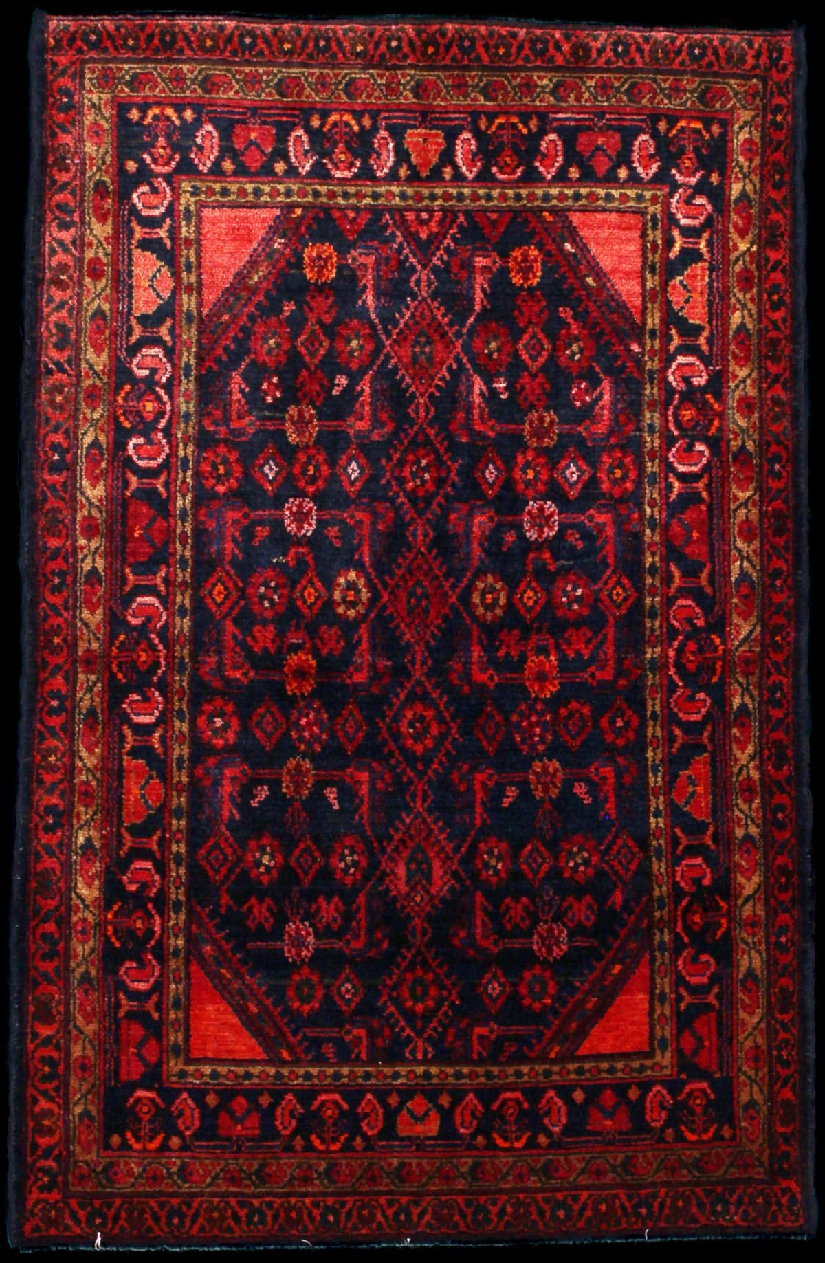 Persian rug of Turkoman style in dimensions 164 centimeters length by 106 centimeters width with mainly red and blue colors