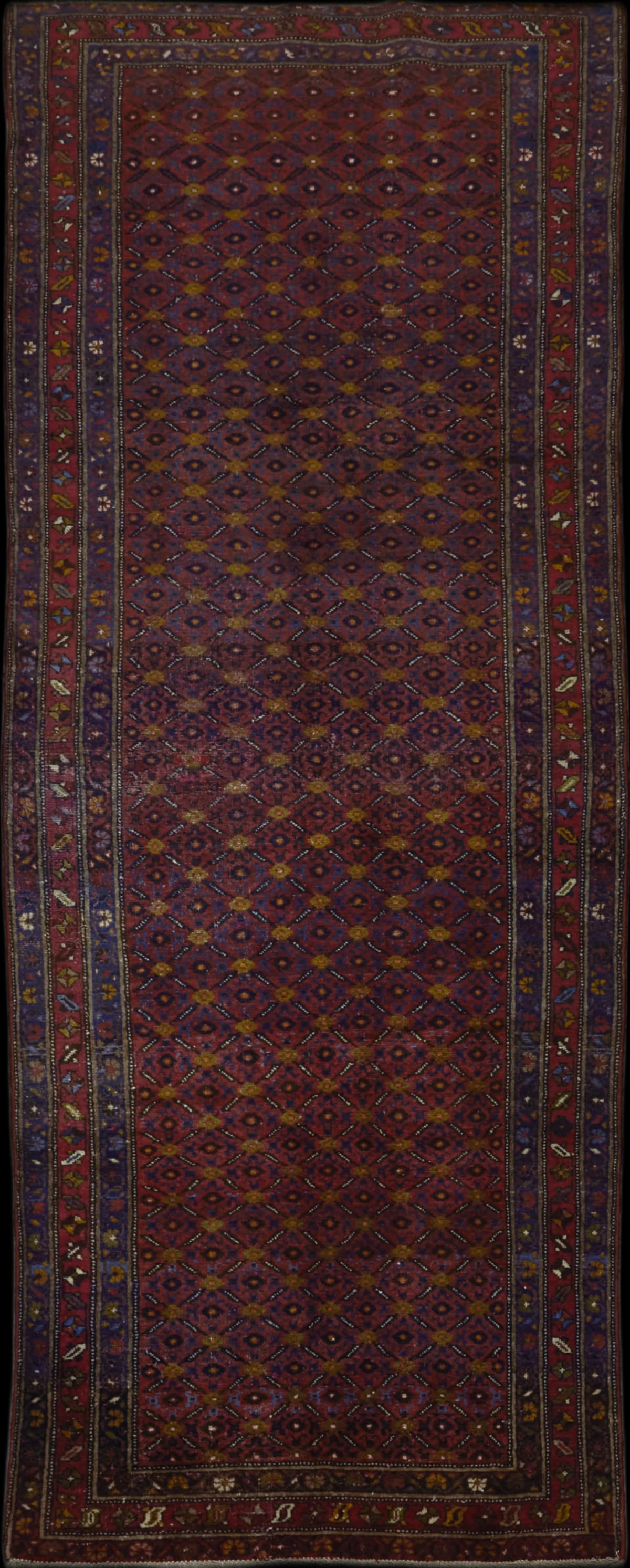 Persian rug in dimensions 258 centimeters length by 100 centimeters width with mainly red colors