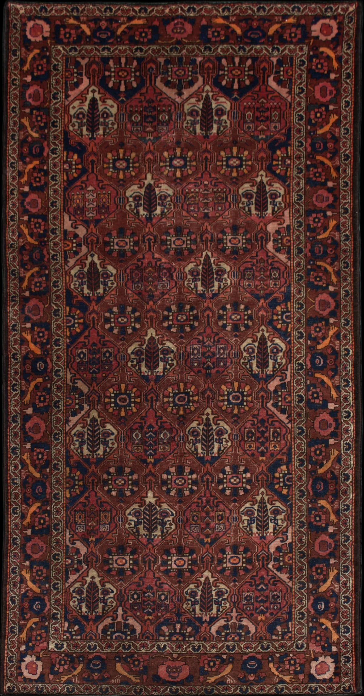 Persian rug in dimensions 301 centimeters length by 164 centimeters width