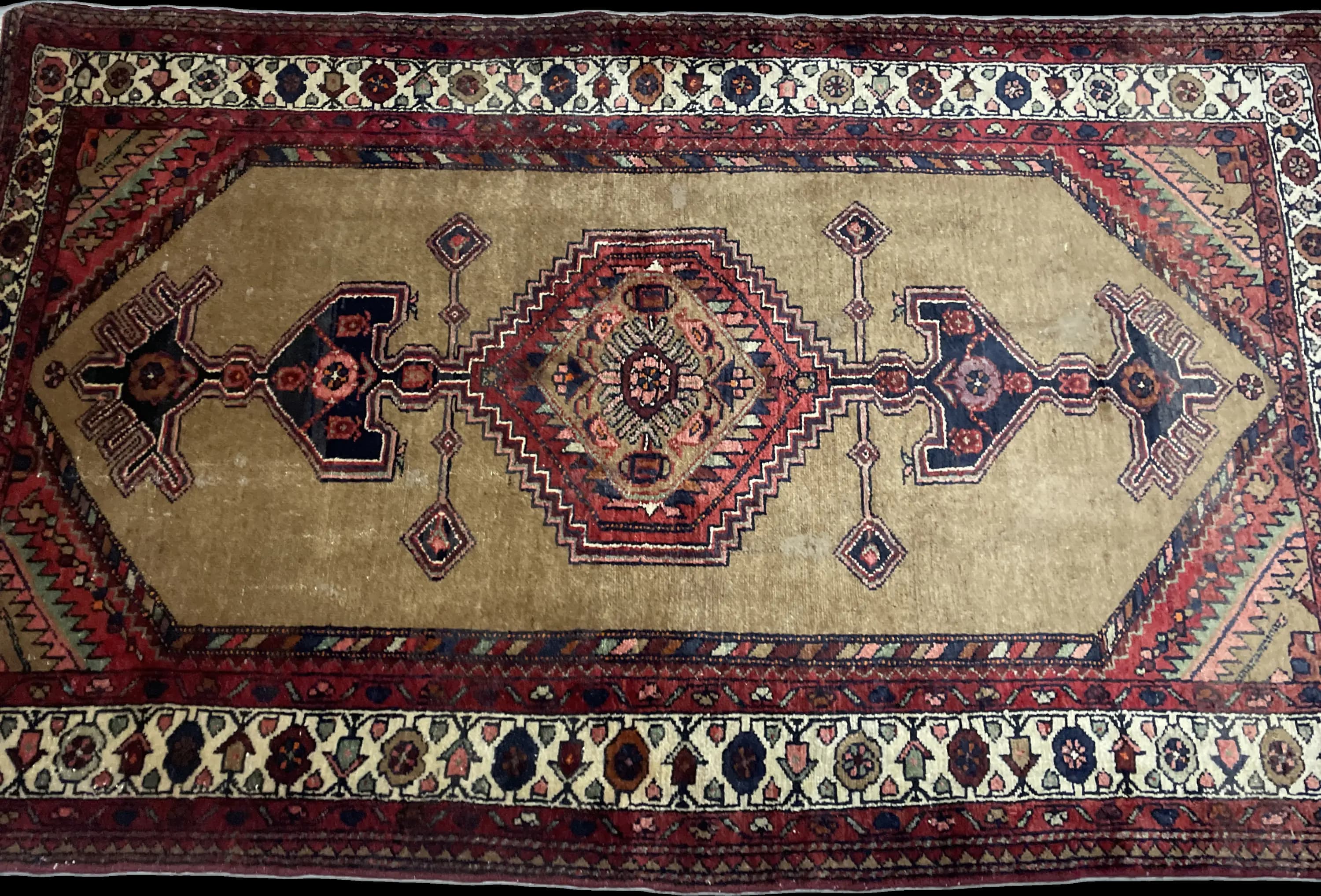 Perspective view of the rug