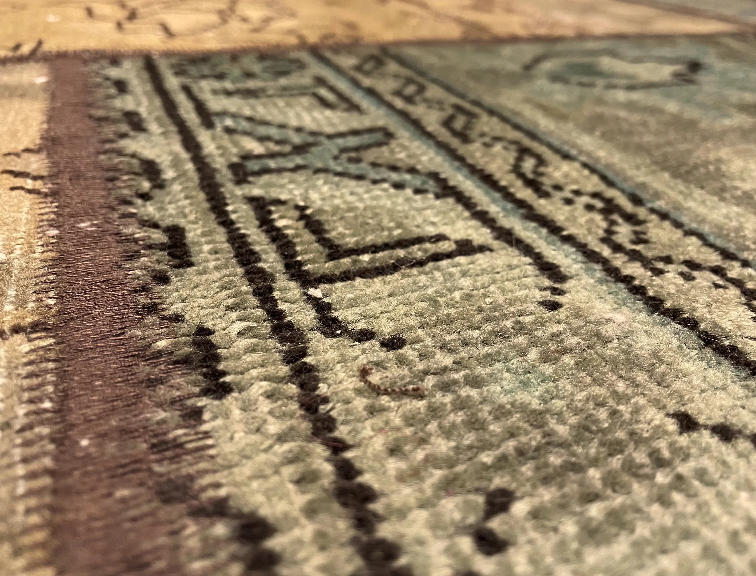 Close-up on the rug's texture