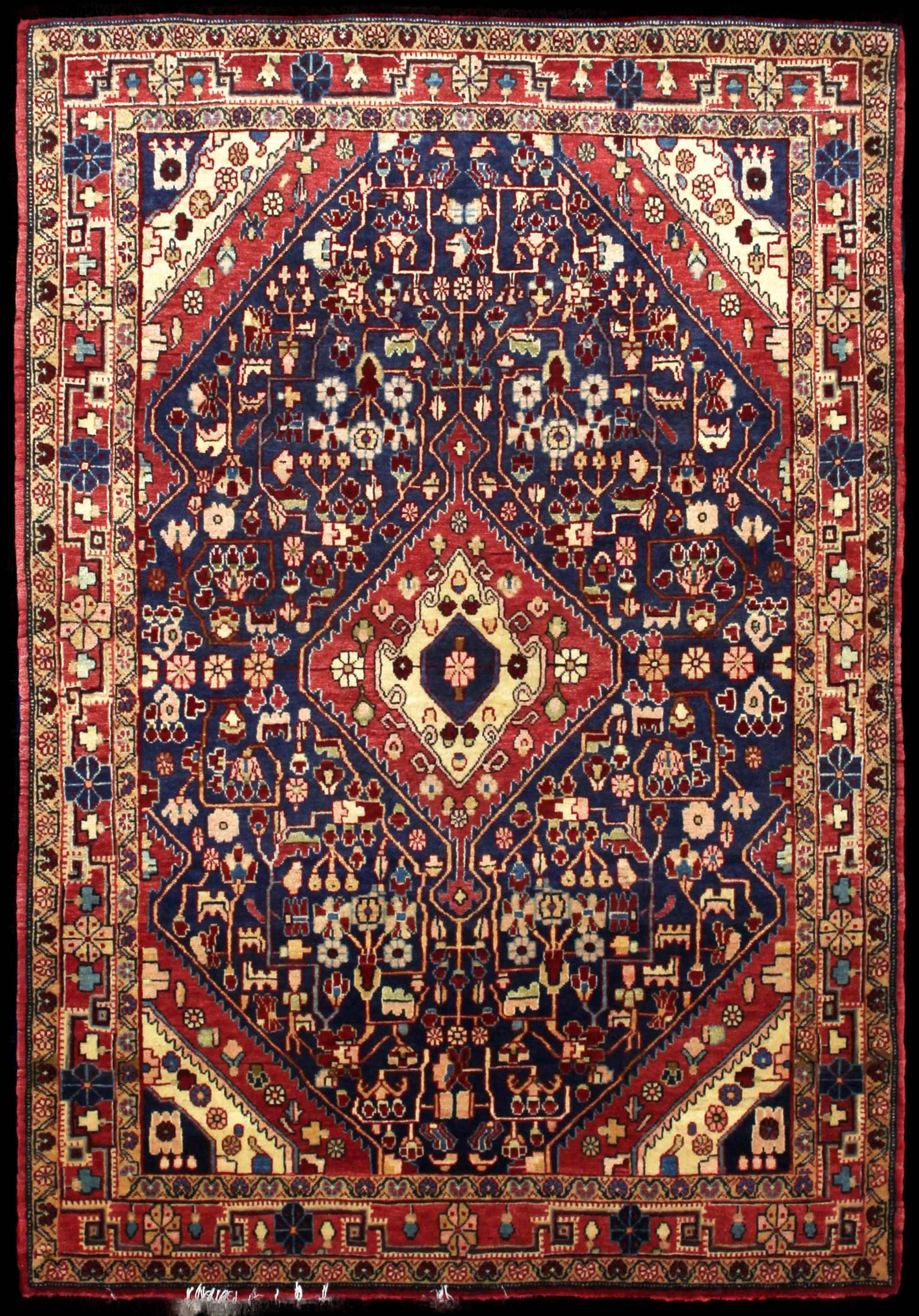 Complete view of the rug